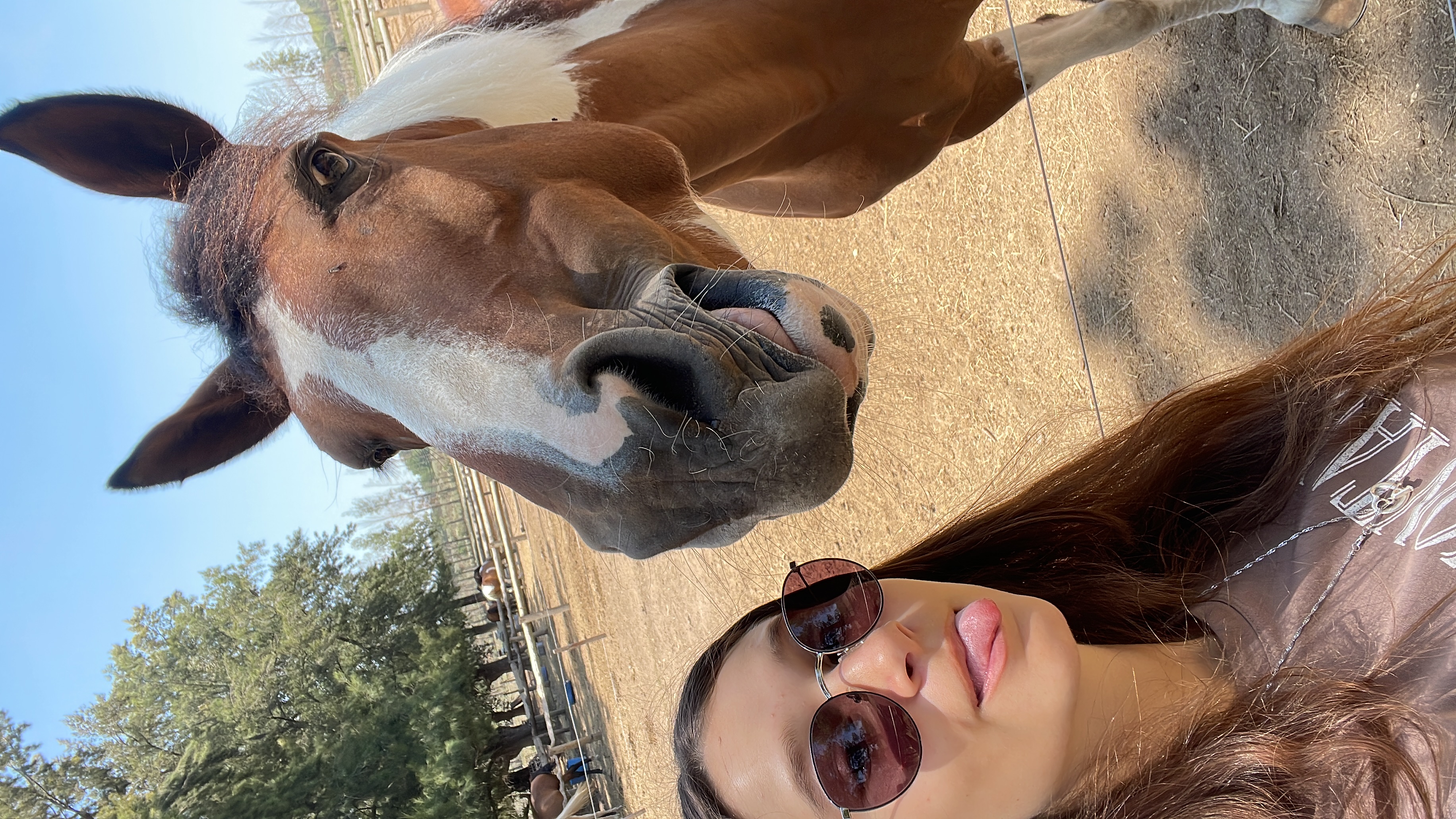 Lola y Comanche, sacando la lengua