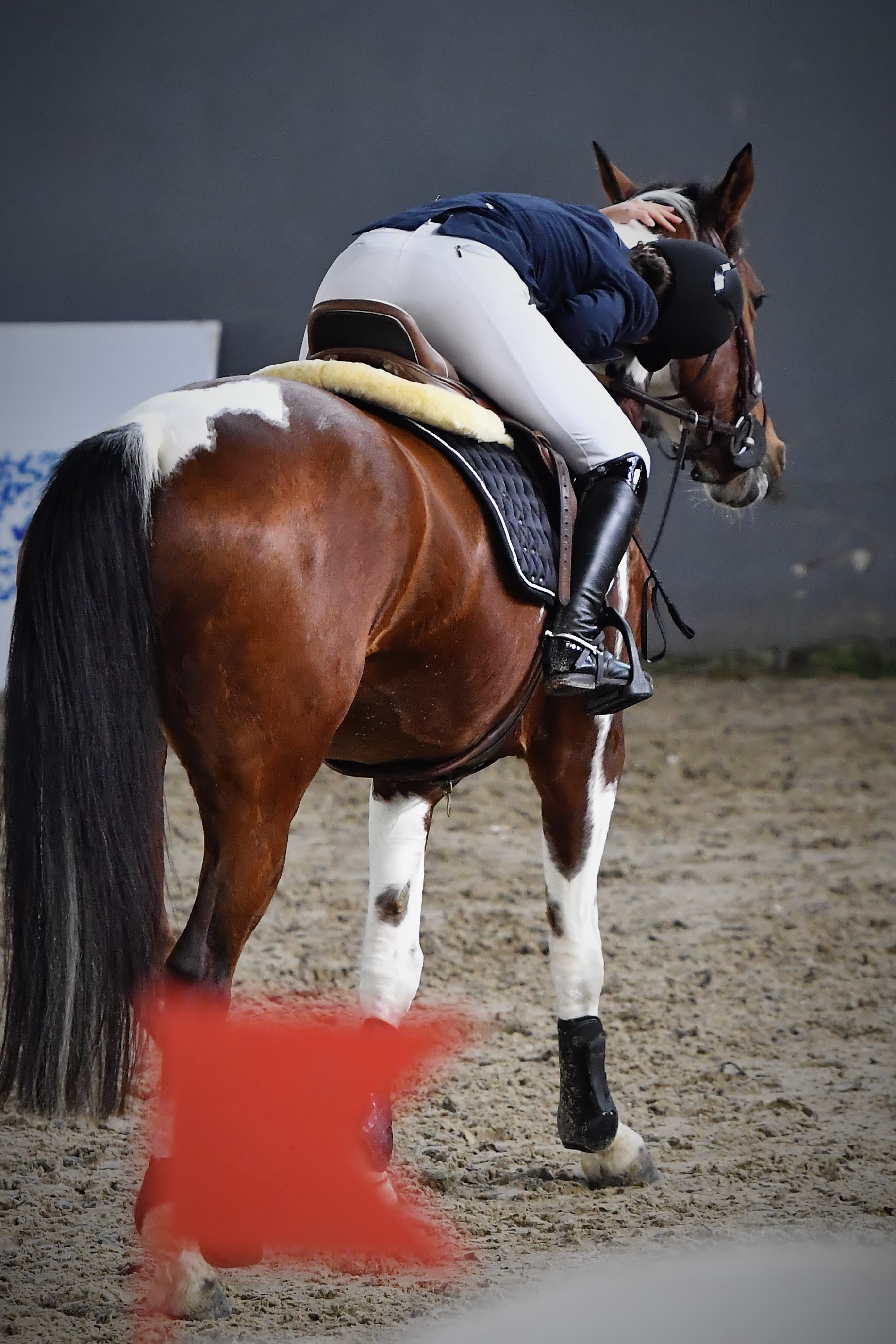 Lola abrazada al cuello de Comanche en la arena