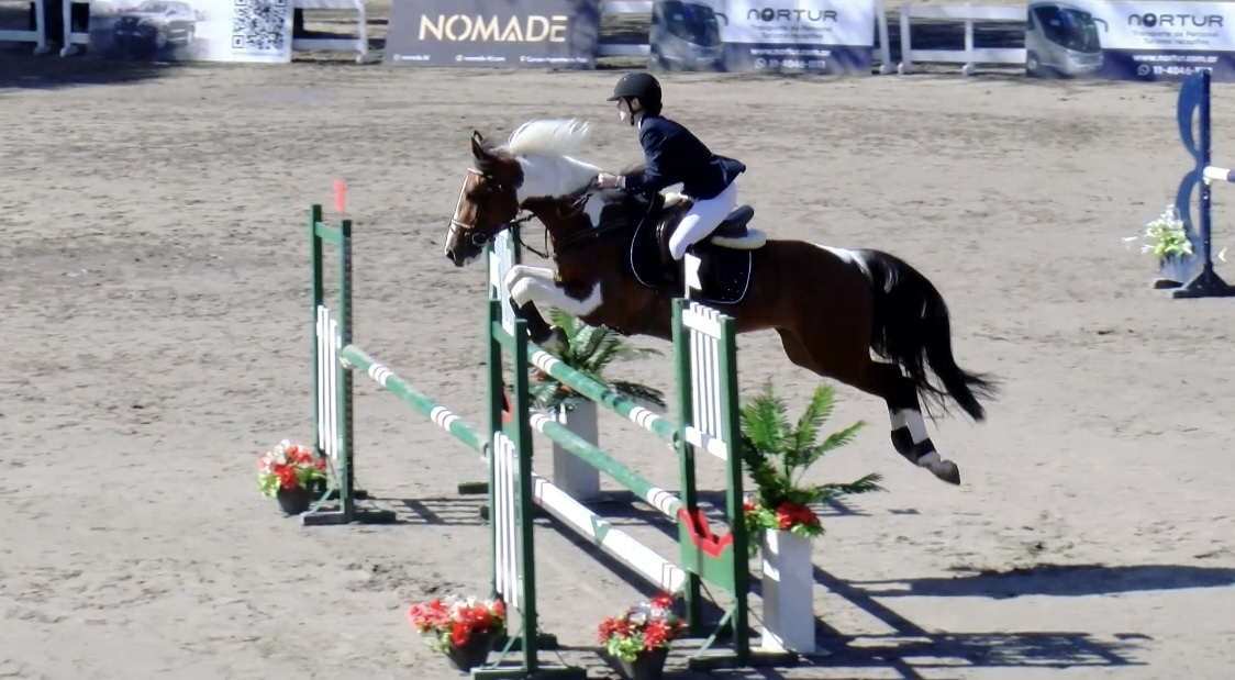 Salto en concurso